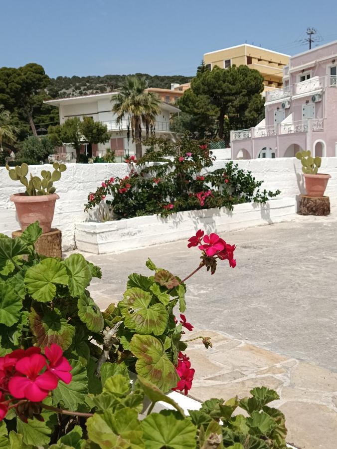 Meltemi Apartments Agia Marina  Exterior photo